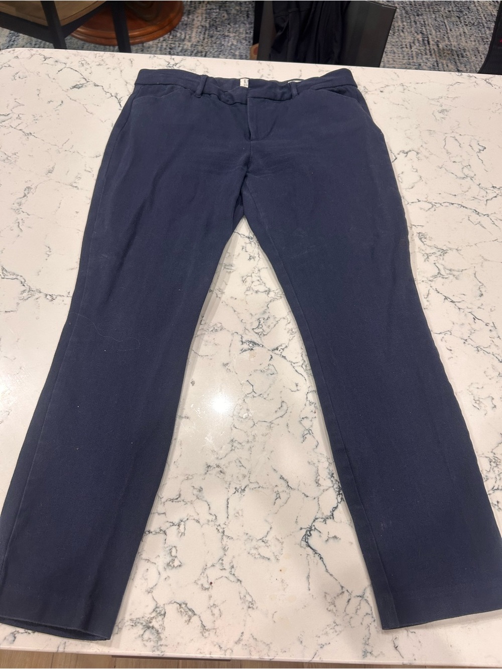 GAP Navy Blue Casual Trousers